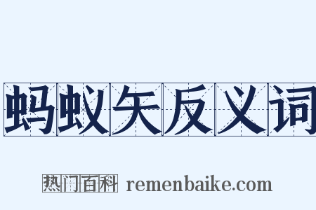 蚂蚁矢反义词是什么意思的图片